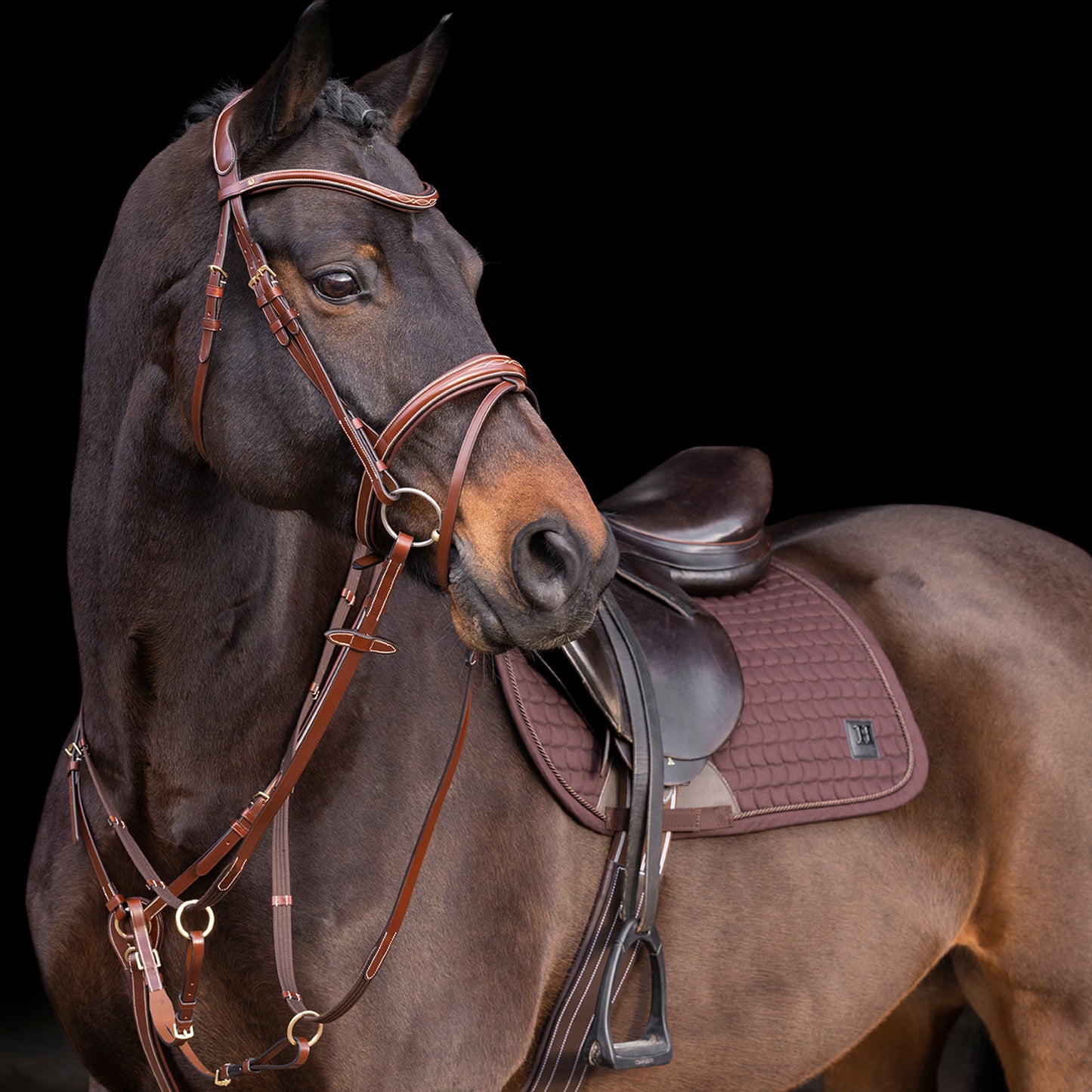 HVPolo Legacy Förbygel med Martingal, Brun