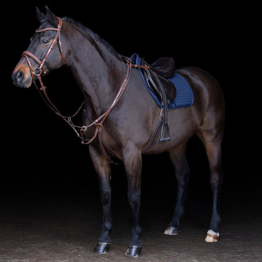 HVPolo Legacy Förbygel med Martingal, Brun