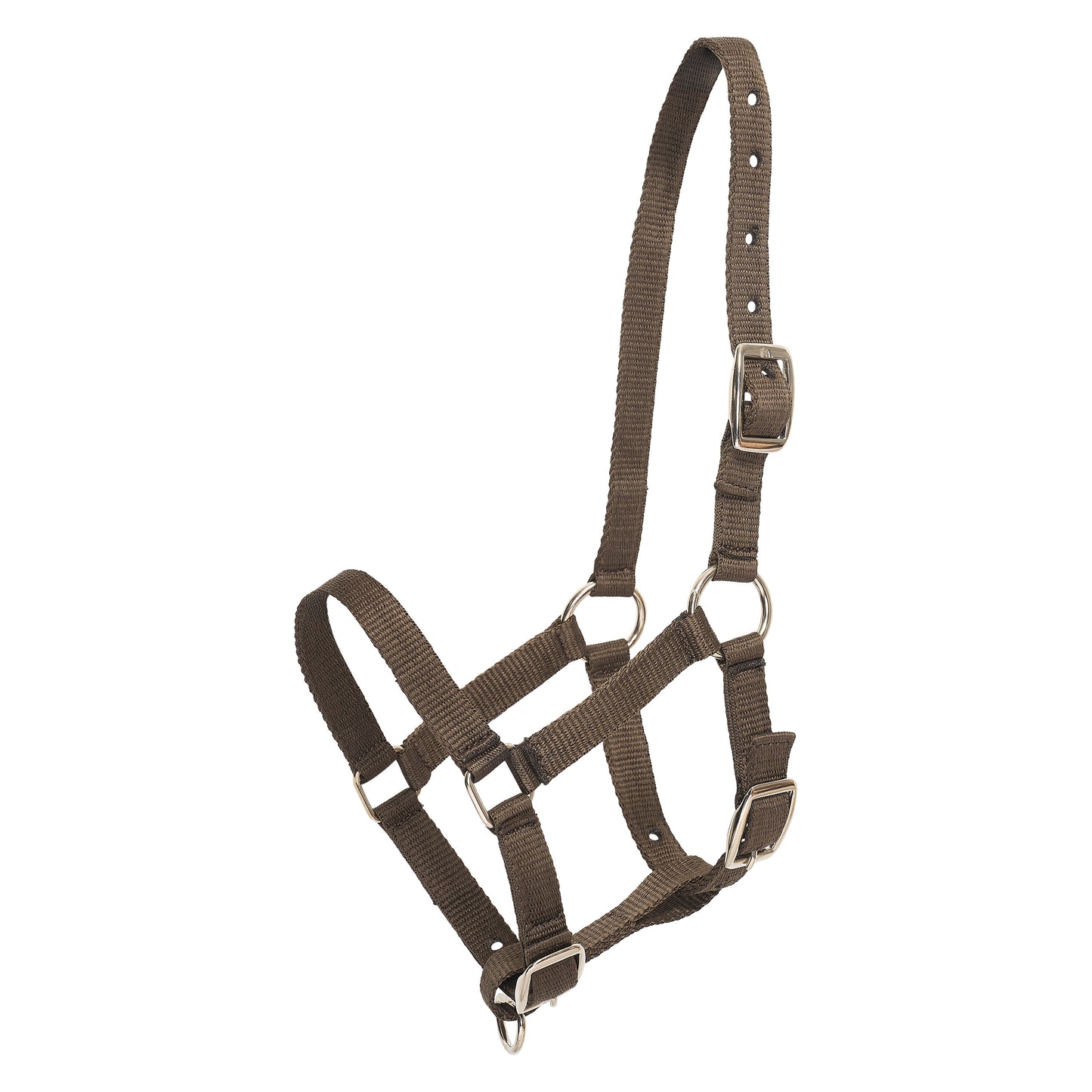 HVPolo Fölgrimma Nena