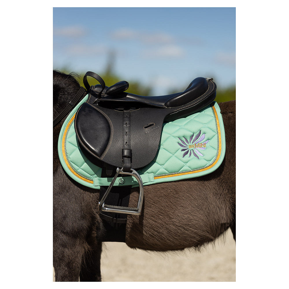 BR Mini Horse Schabrak