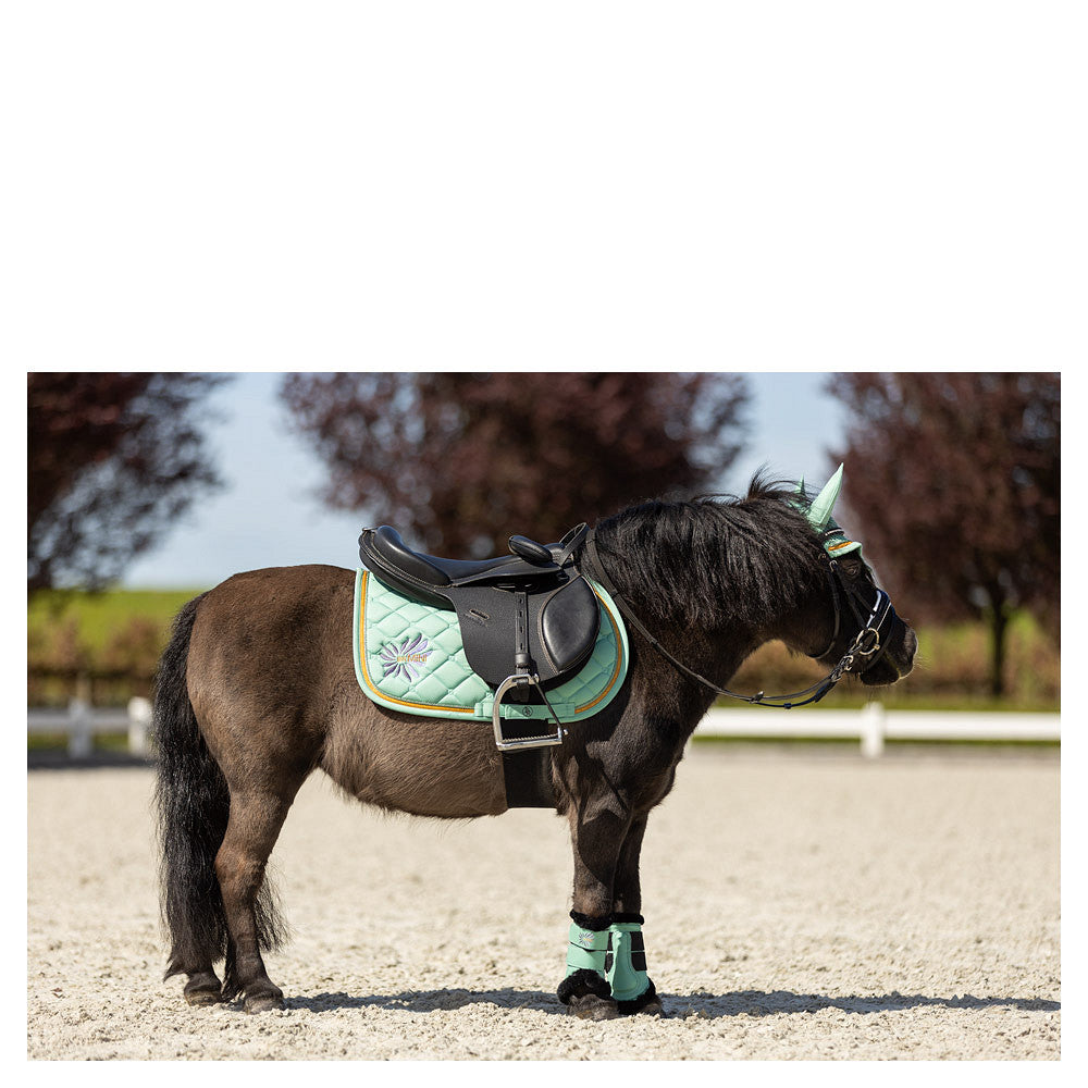 BR Mini Horse Schabrak