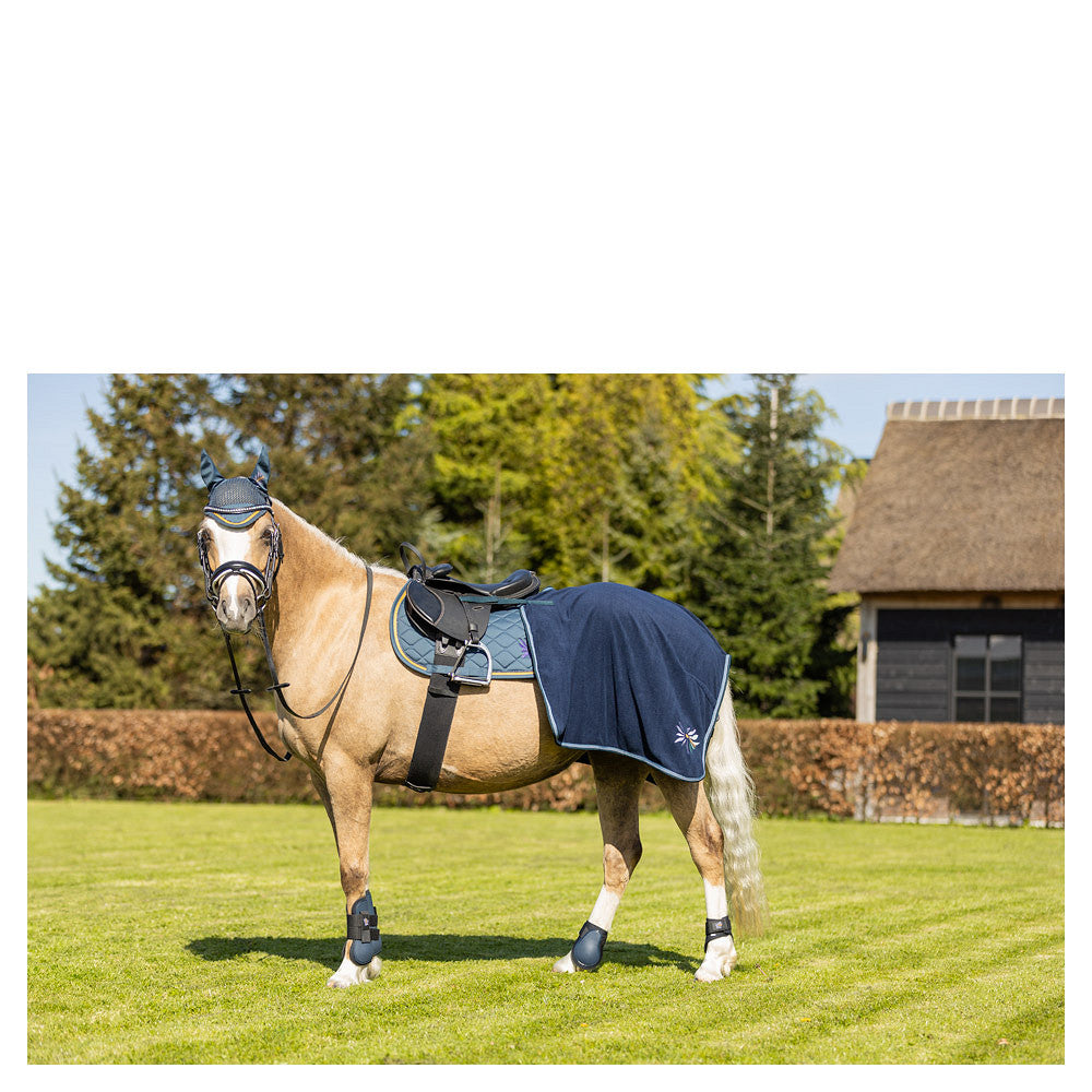BR Mini Horse Schabrak