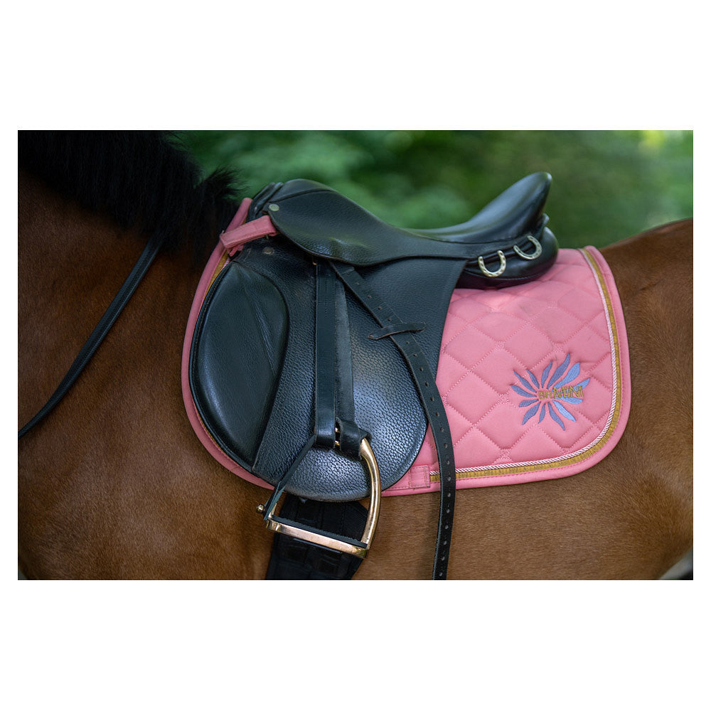 BR Mini Horse Schabrak