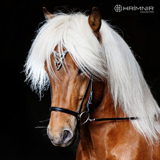 Grimma Heritage - Unity