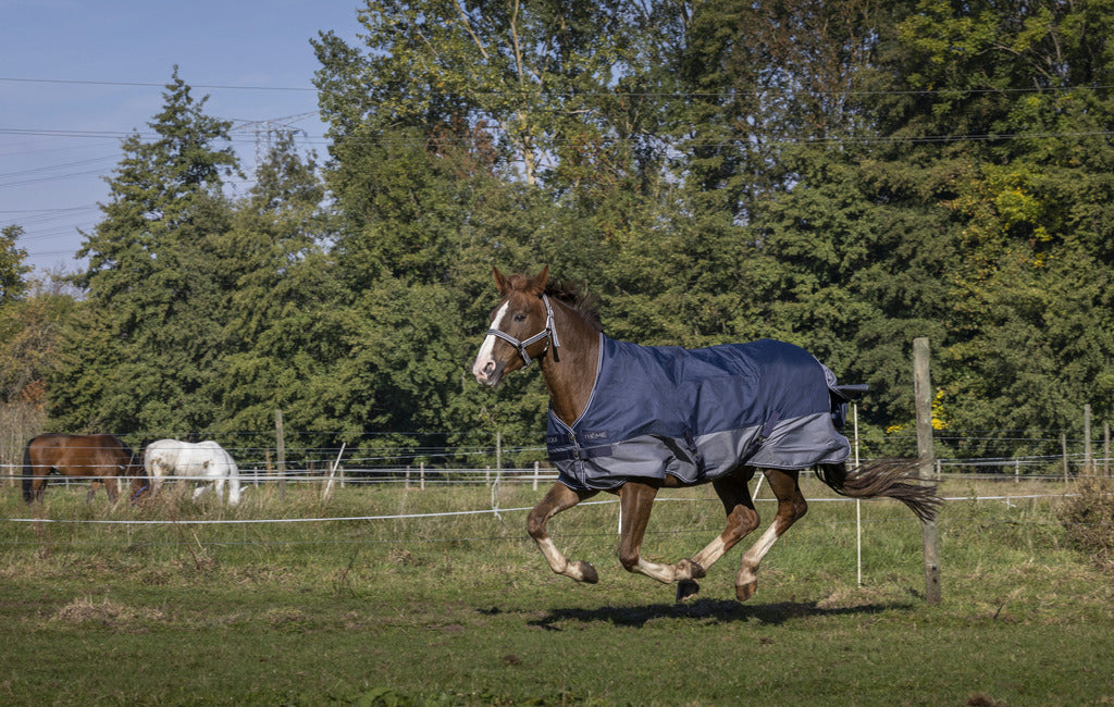 EQUITHÈME Tyrex 600 D Turnout Täckee Fodrat Med Polar Fleece Navy/Grå