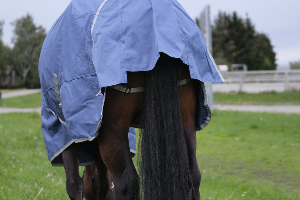 EQUITHEME 'TYREX 600D' Recycled Turnout Hästtäcke Navy 0 g