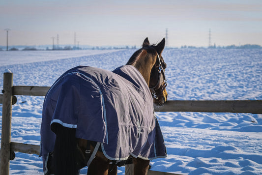 EQUITHEME 'TYREX 1200D' Recycled Turnout Hästtäcke Taupe 300 g