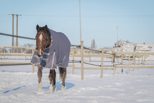 EQUITHEME 'TYREX 1200D' Recycled Turnout Hästtäcke Taupe 300 g