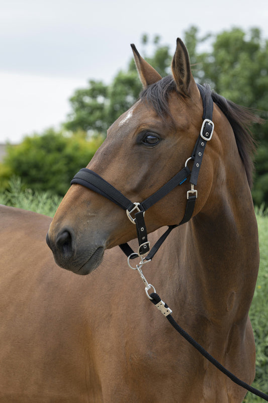 NORTON 'Stor' Grimma + Grimskaft Raspberry