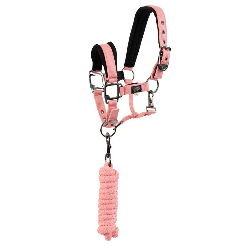 BR Mini Horse Halter with Lead Rope