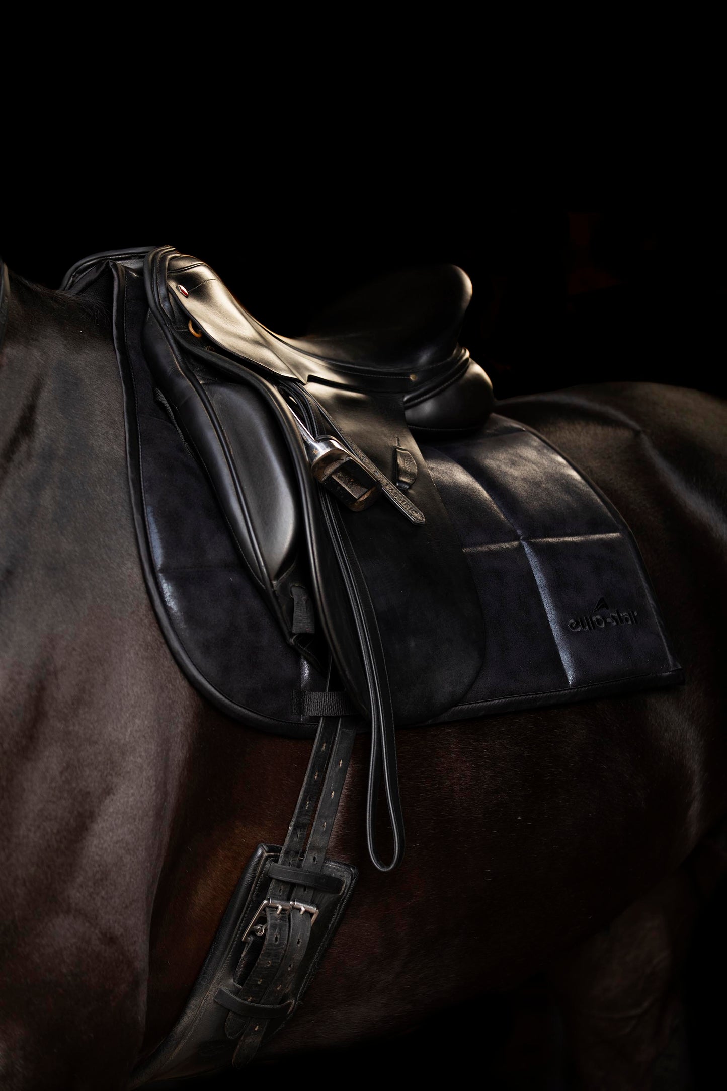Saddlepad ESMax DR