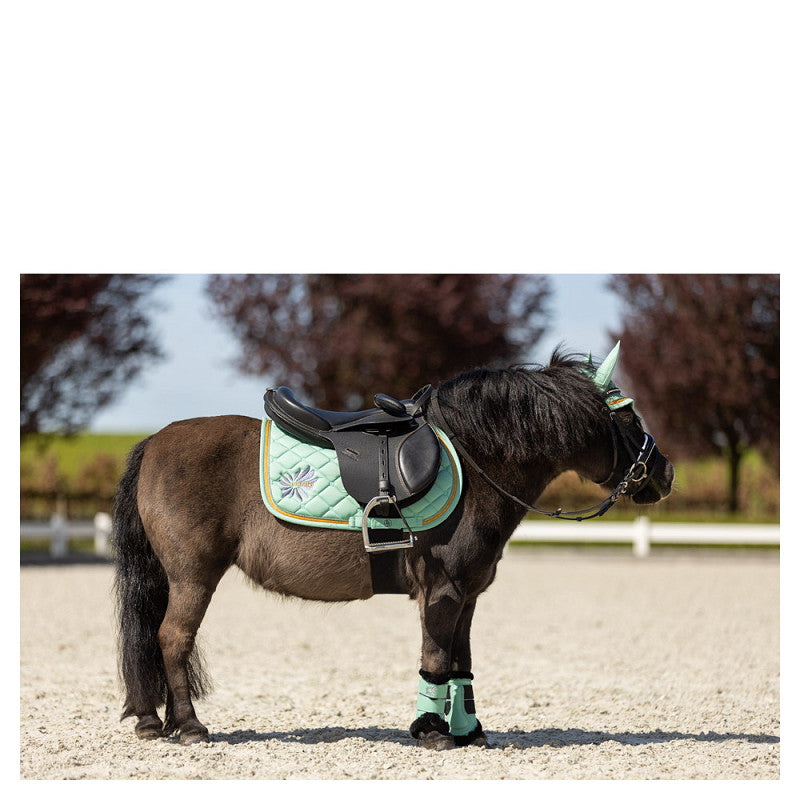 BR Mini Horse Ear Bonnet