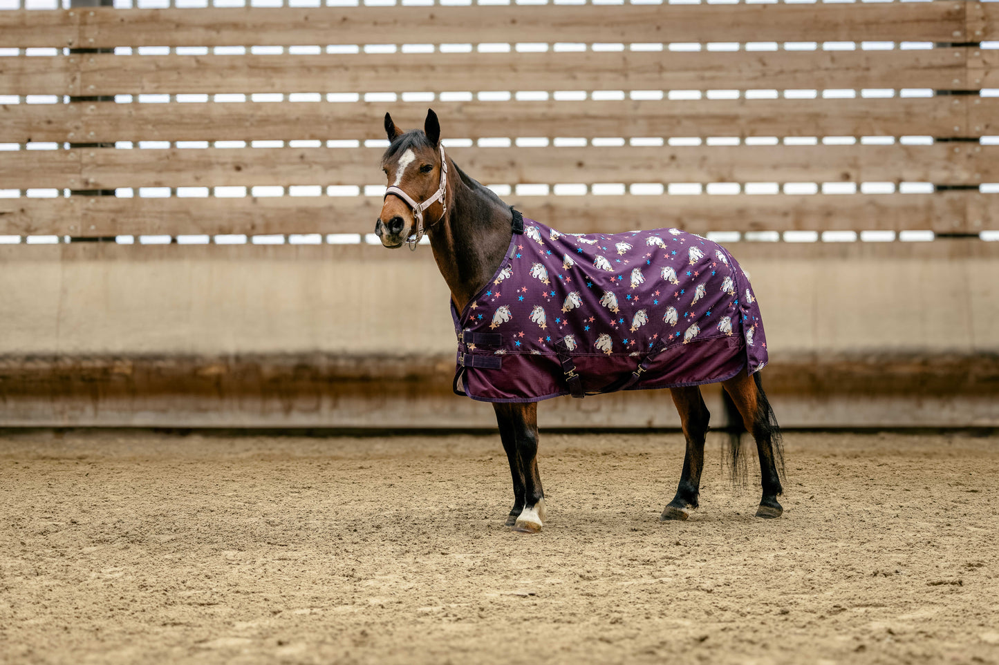 EQUITHÈME Utetäcke "Unicorn", 220g, 600D