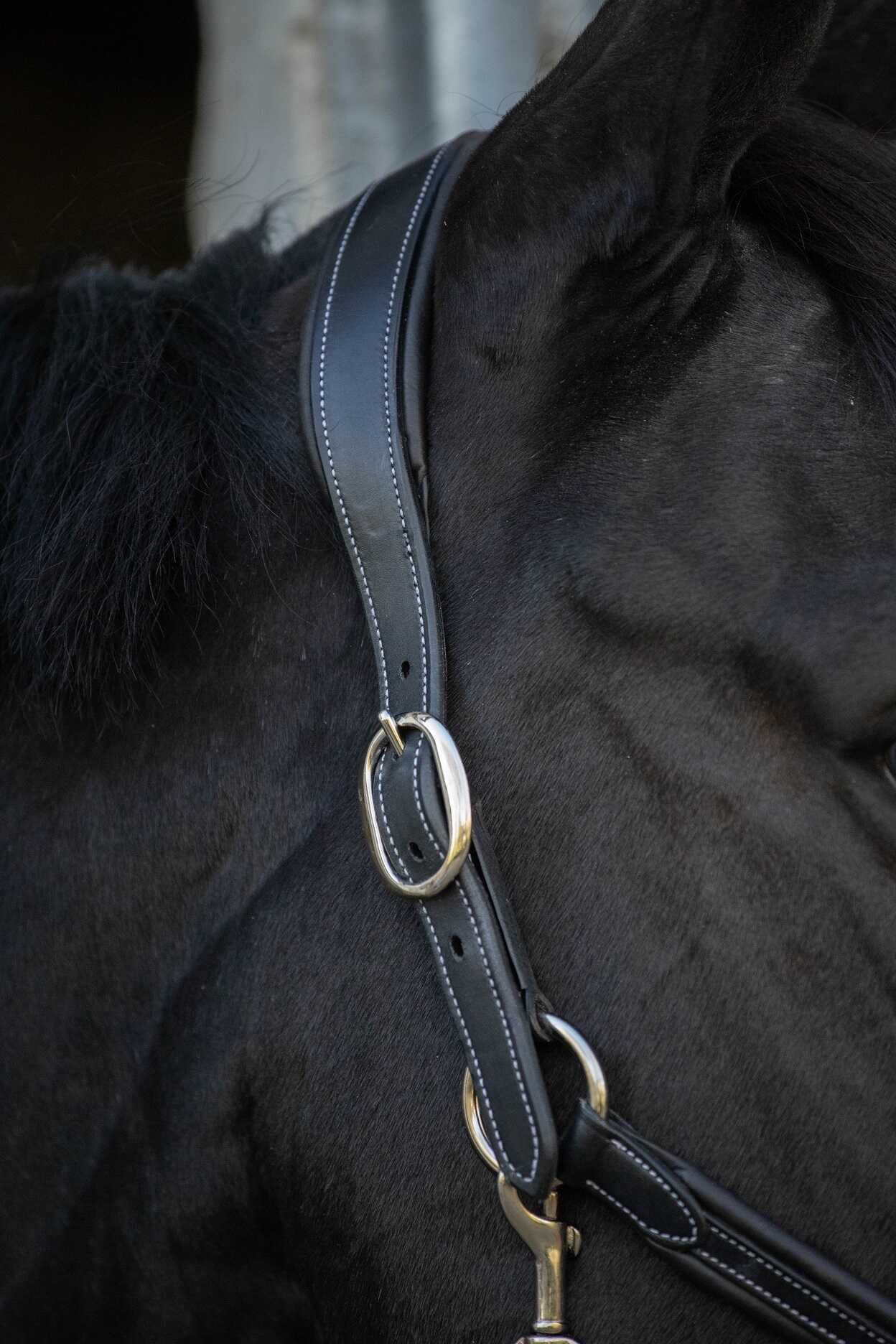 Penelope Lädergrimma "Point Sellier"