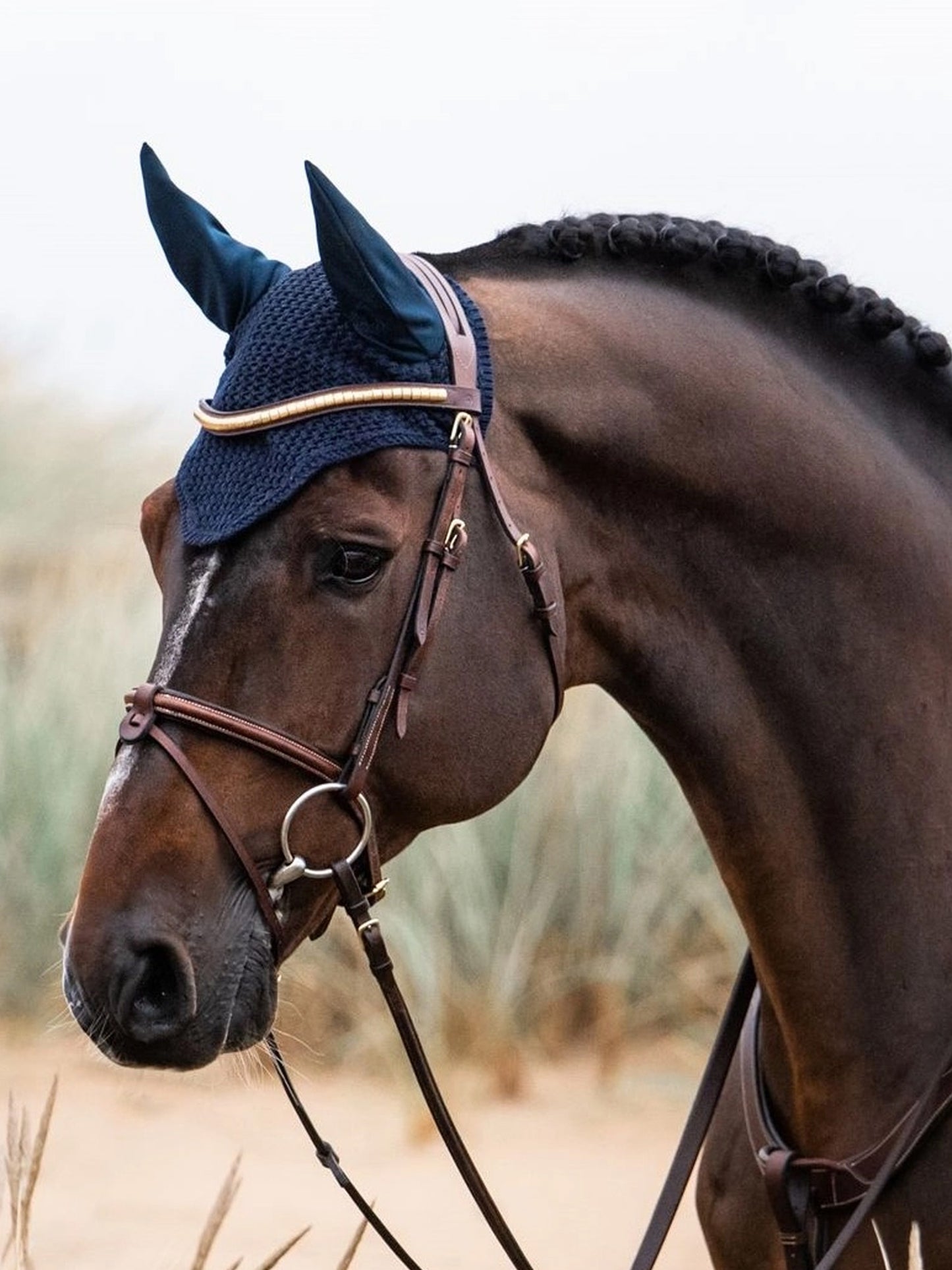 California Aachen Bridle