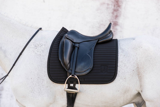 Karlskrona Schabrak Svart Dressyr