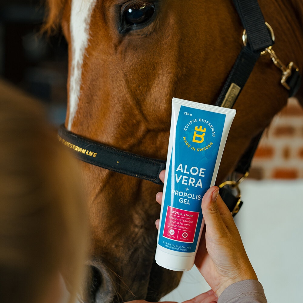 Aloe Vera + Propolis Gel 250g