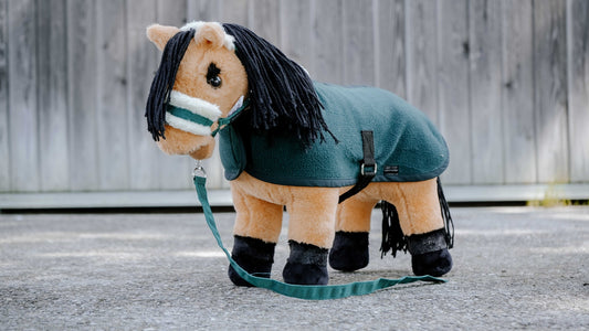 Mini Grimma & Filt SET PONY ACADEMY