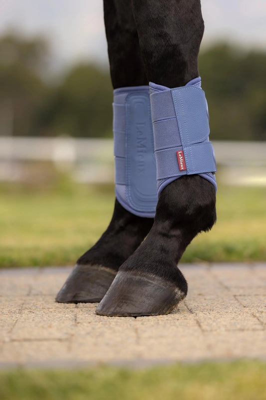 Le Mieux SS26 Arika Mesh Brushing Boots, Powder Blue