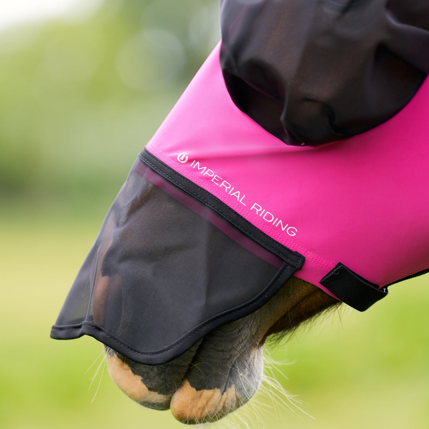 Imperial Riding Flugmask med nos, Cerise