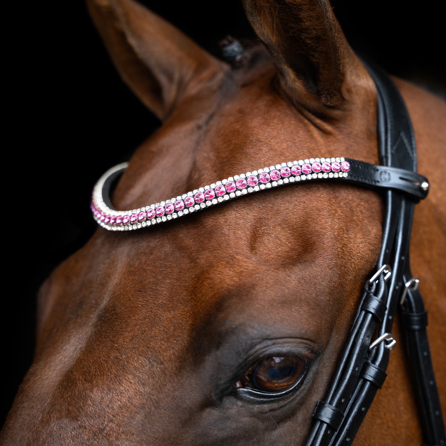 Imperial Riding Pannband IRHBeads