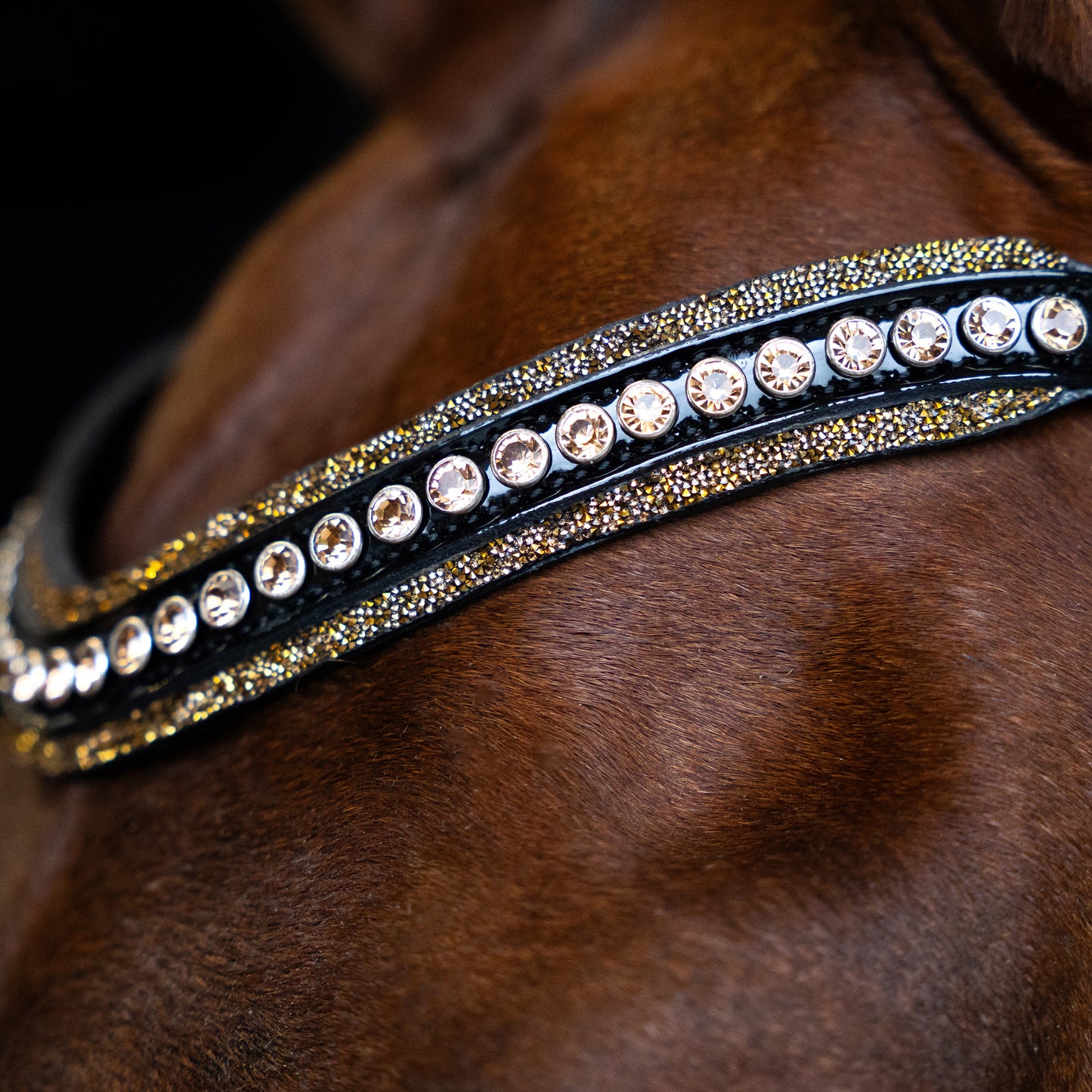 Imperial Riding Pannband IRHMaxima 2