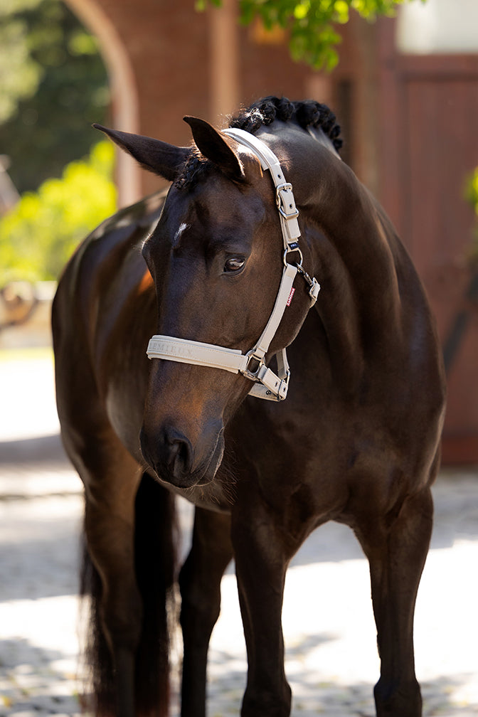 SS25 Essence Huvudgrimsmuskel Sten