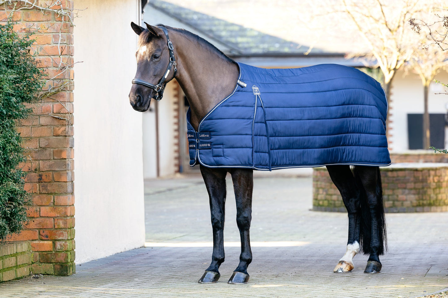 AW25 LM Kudos Rug Liner 100g Marinblå