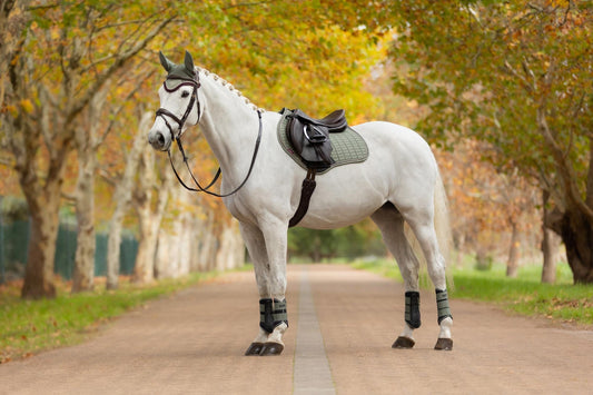 AW25 LM Mocka Närkontakt Fyrkantig Rosmarin