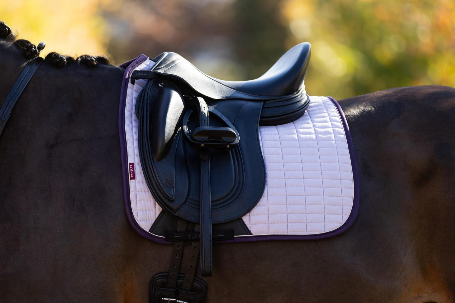 AW25 LM Mocka Dressyr Fyrkantig Lila