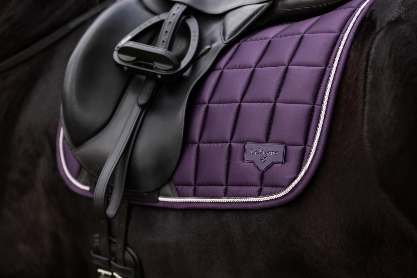 AW25 LM Loire Classic Dressyr Square Juniper
