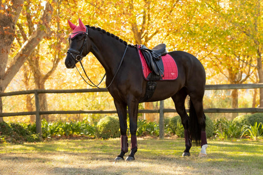 AW25 LM Loire Classic Dressage Square Cranberry