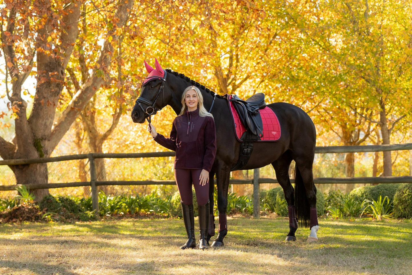 AW25 LM Loire Classic Dressage Square Cranberry