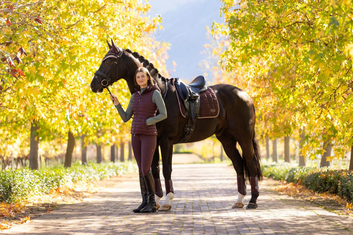 AW25 LM Loire Classic Dressage Square Damson