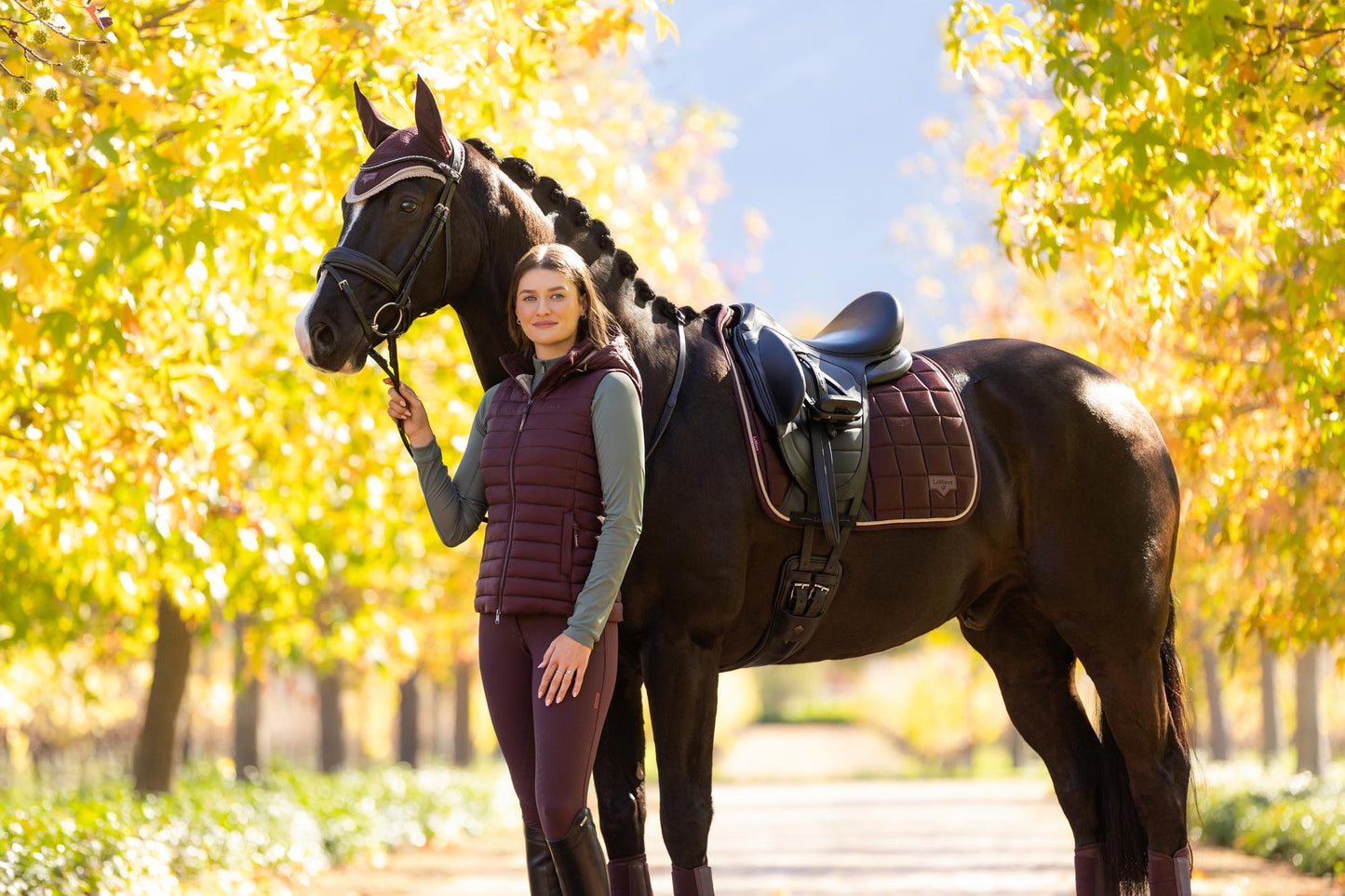 AW25 LM Loire Classic Dressage Square Damson