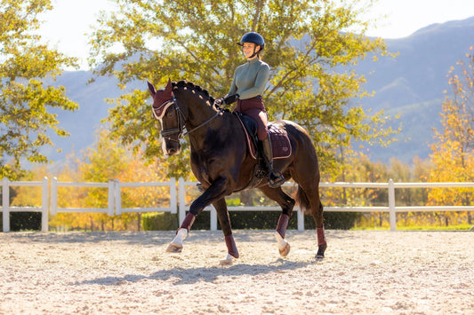 AW25 LM Loire Classic Dressage Square Damson