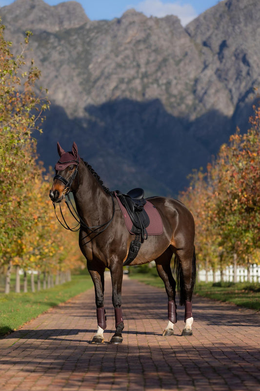 AW25 LM Essence Dressage Square Damson