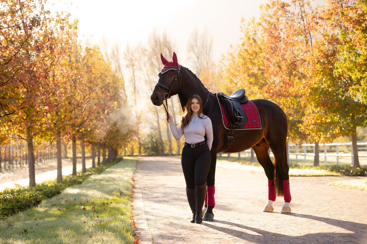 AW24 Loire Classic Dressyr Square Ember
