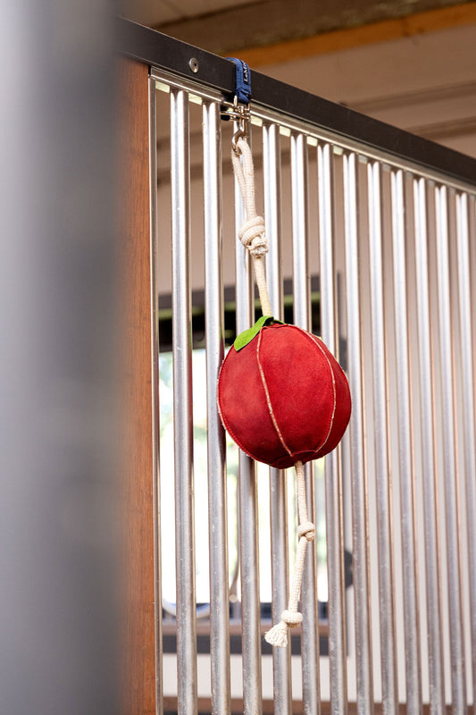 Horse Toy Leksak Äpple