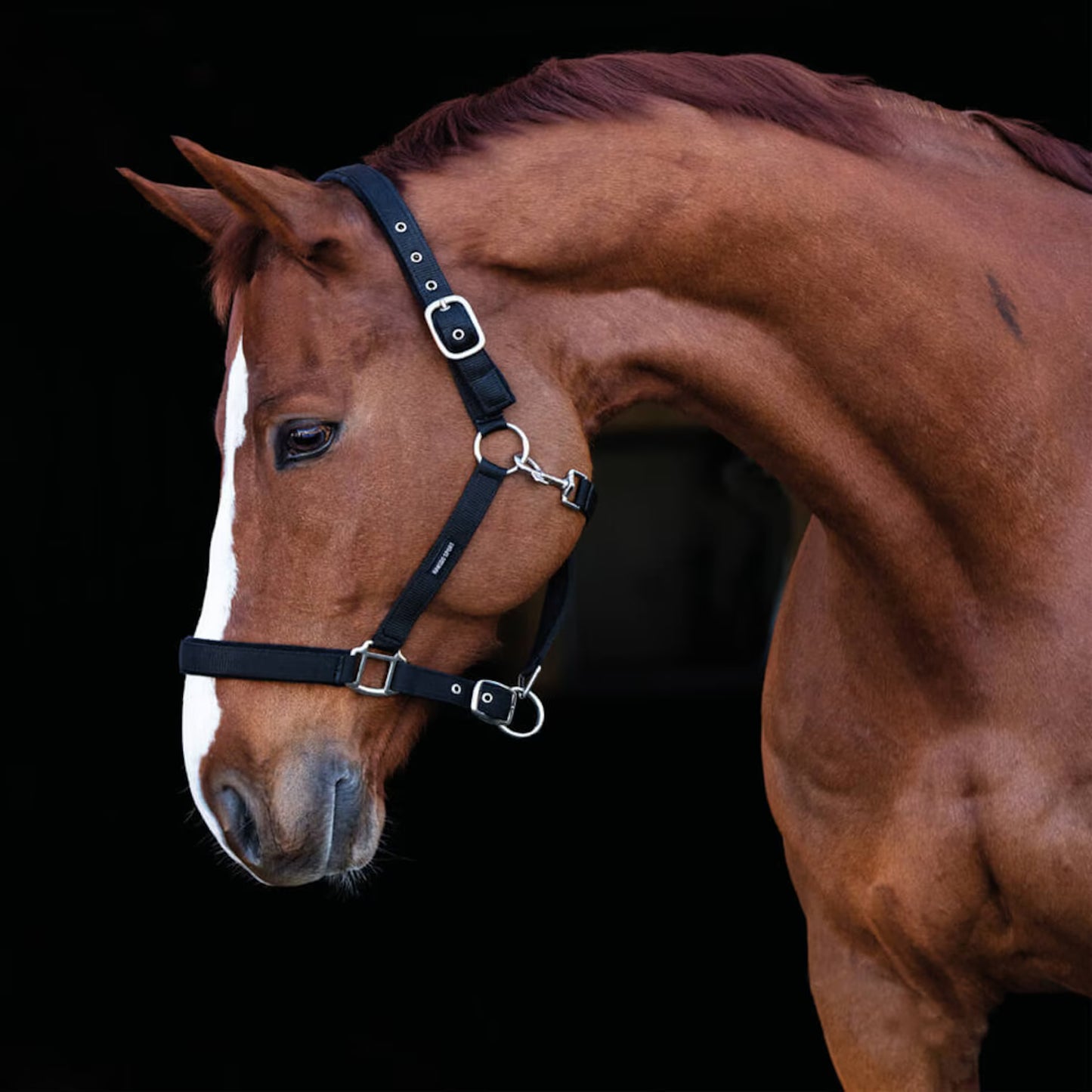 Hansbo Grimma PP Frotté Helfodrad