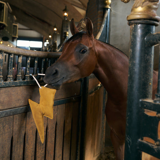 Imperial Riding IRH Hästleksak Lightning bolt