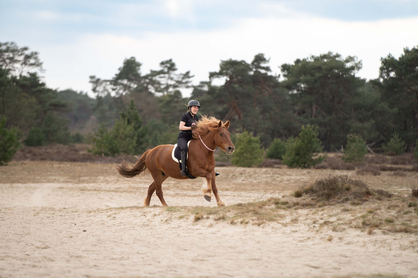 Imperial Riding Halsring IRHFree Ride