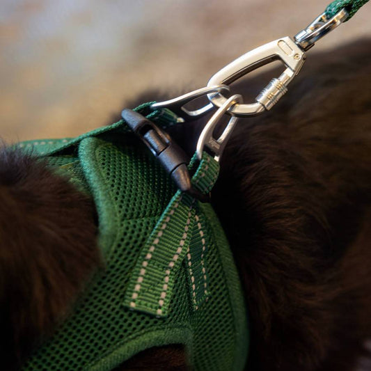 Air Mesh Step-in Väst Sele Svart