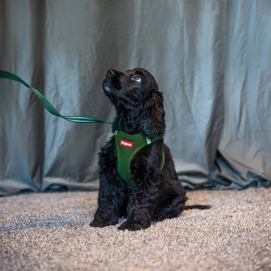 Air Mesh Step-in Väst Sele Olivgrön