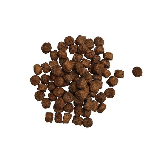 Puppy Sensitive Torrfoder för hund