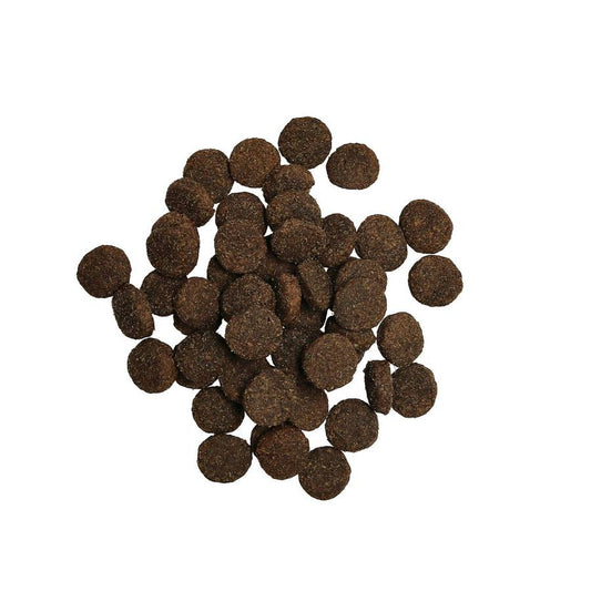 Adult Lamb Torrfoder för hund