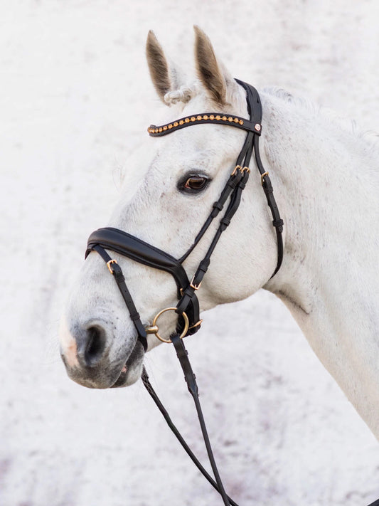 Cleveland Dressage Bridle