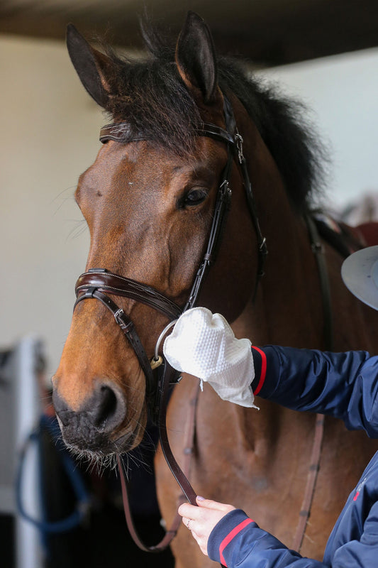 Carr & Day & Martin Belvoir Tack Cleaner Mitt
