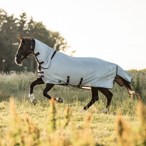 Fly blanket IRHReese