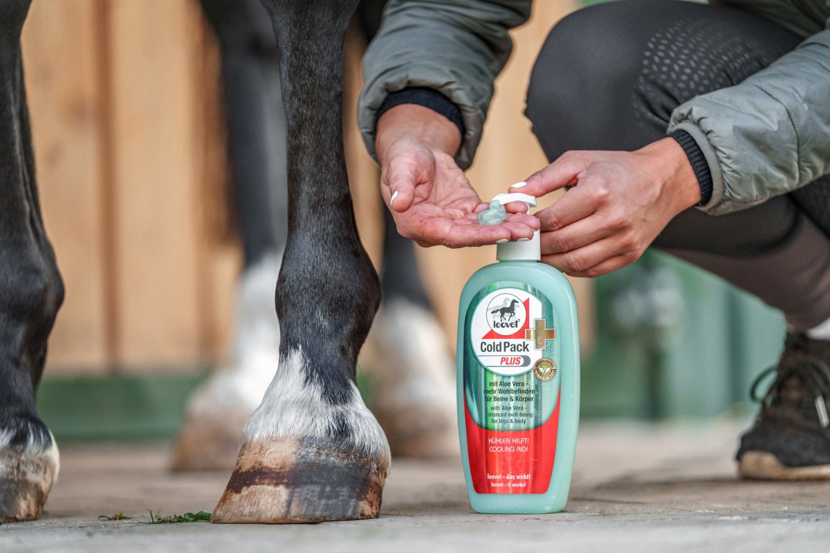 Leovet Cold Pack Plus 500 ml